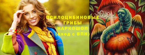 PSILOCYBIN Корсаков